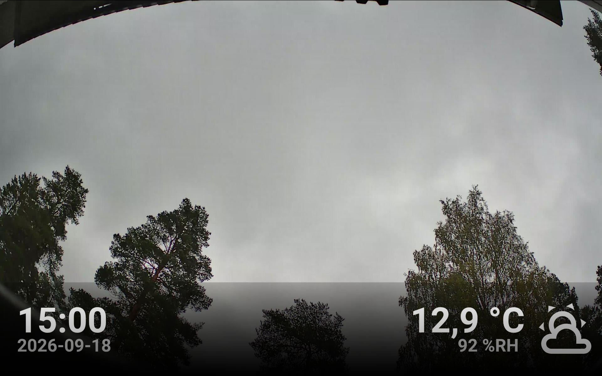 Live Stream